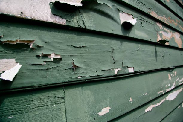 Best James Hardie Siding  in Webberville, MI